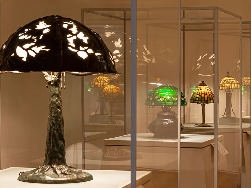 The MAACM Collection